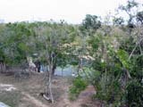 dzibilchaltun-cenote-164