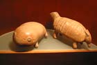 colima_museo_animales_4285