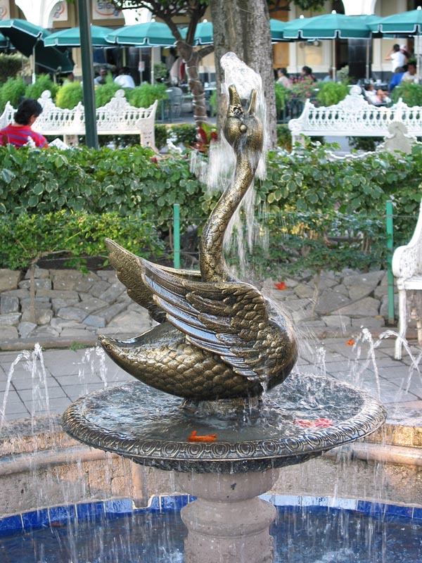 colima_zocalo_cisne_4297