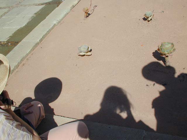 DSCN0047