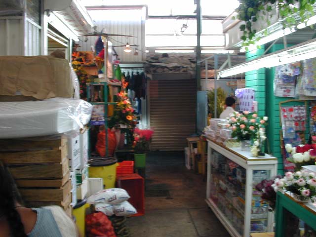 a-DSCN0138