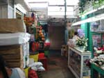 a-DSCN0138